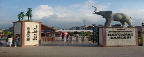Samsun Hayvanat Bahçesi Resmi